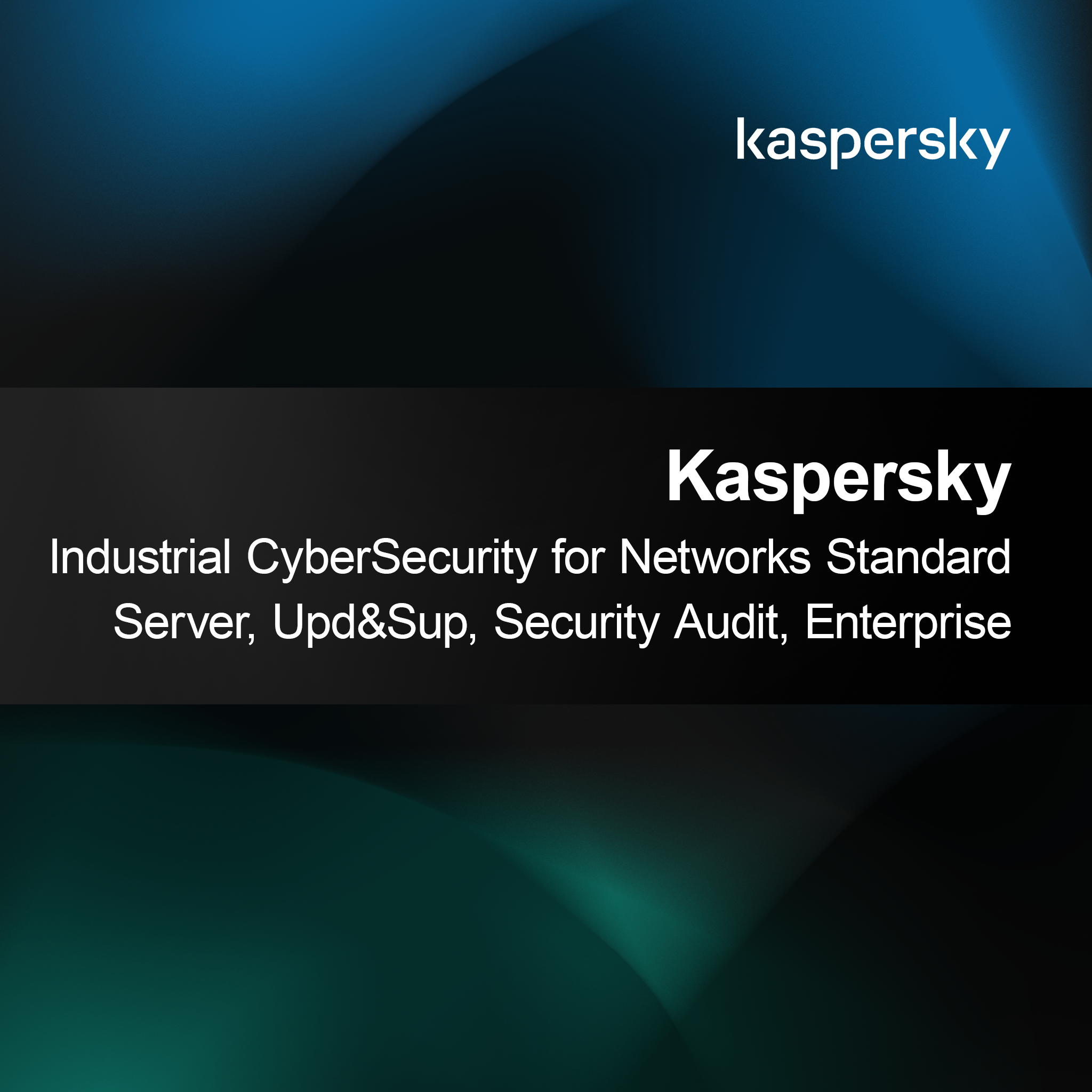 Kaspersky Industrial CyberSecurity for Networks Standard Server Upd&Sup Security Audit Enterprise
